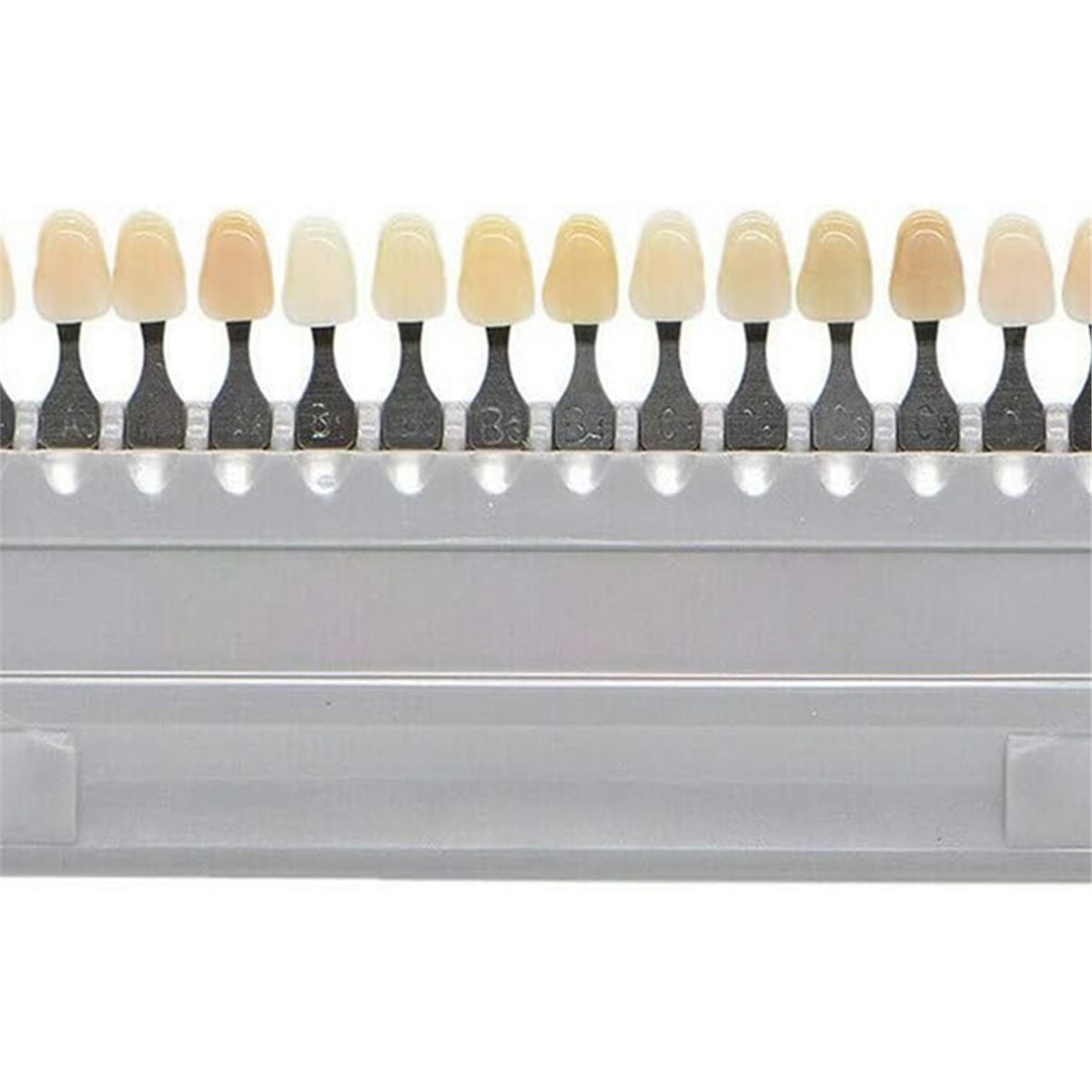 [N84R] คู่มือสีฟันขาว 3 มิติ 1 - Teeth Whitening Shade Guide บทวิจารณ์และราคา