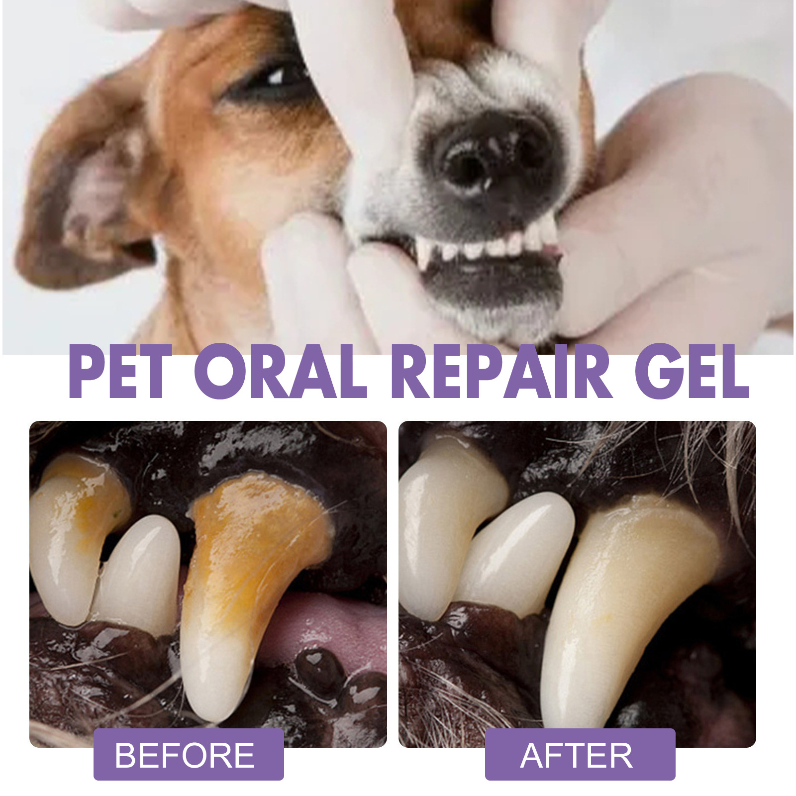 สัตว์เลี้ยง Oral Repair GEL Pu - Teeth Whitening With Hydrogen Peroxide บทวิจารณ์และราคา