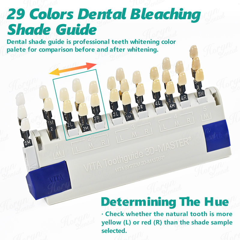แผ่นสี Vita 3D Master Dental L - Teeth Whitening Shade Guide บทวิจารณ์และราคา