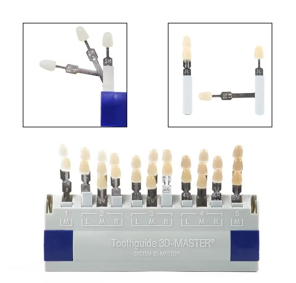 Vita 3D Master Dental Lab Blea - Teeth Whitening Shade Guide บทวิจารณ์และราคา